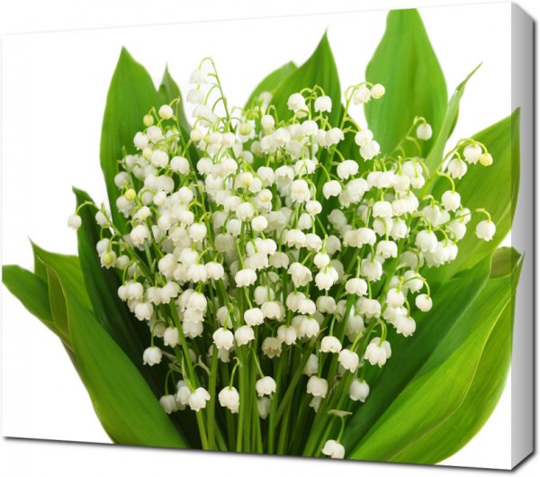 Букет ландышей