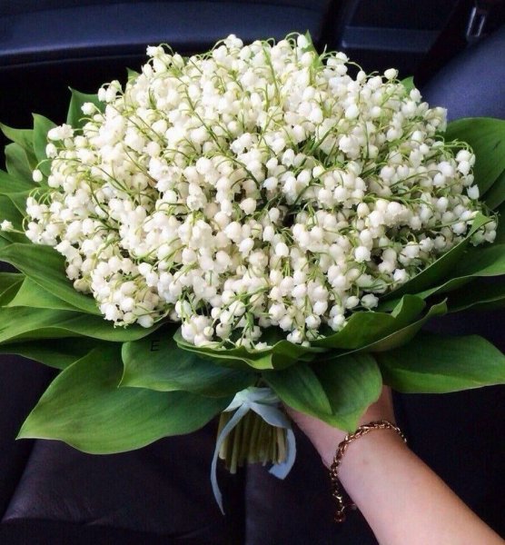 Шикарный букет ландышей