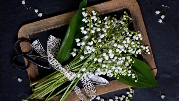 Ландыш Майский букет