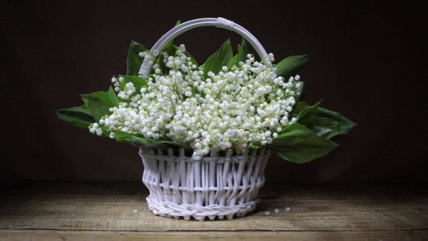 Красивый букет ландышей