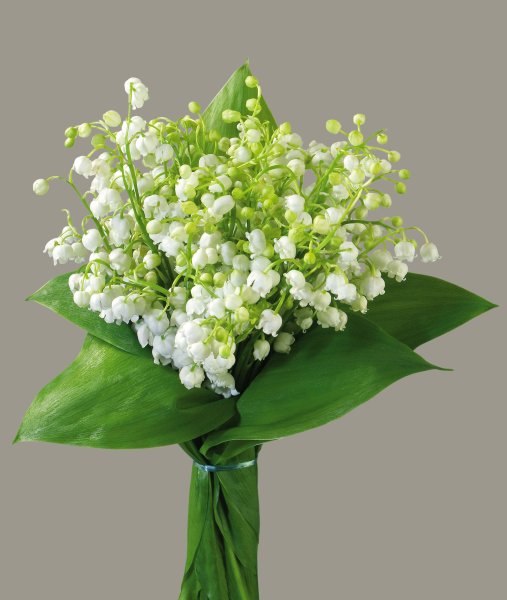 Букет ландышей Гусь Хрустальный