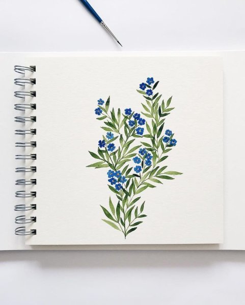 Скетчбук для рисования цветы