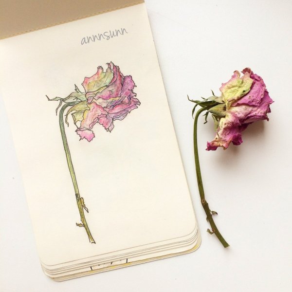 Скетчбук цветочки
