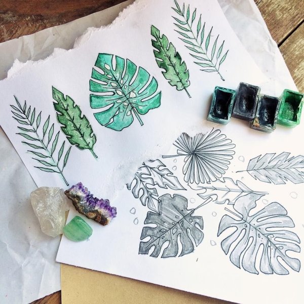 Растения в скетчбуке