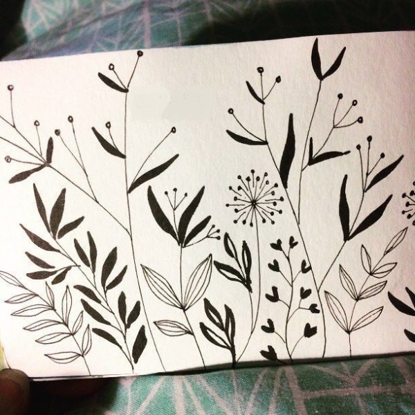 Зарисовка в скетчбуке растения