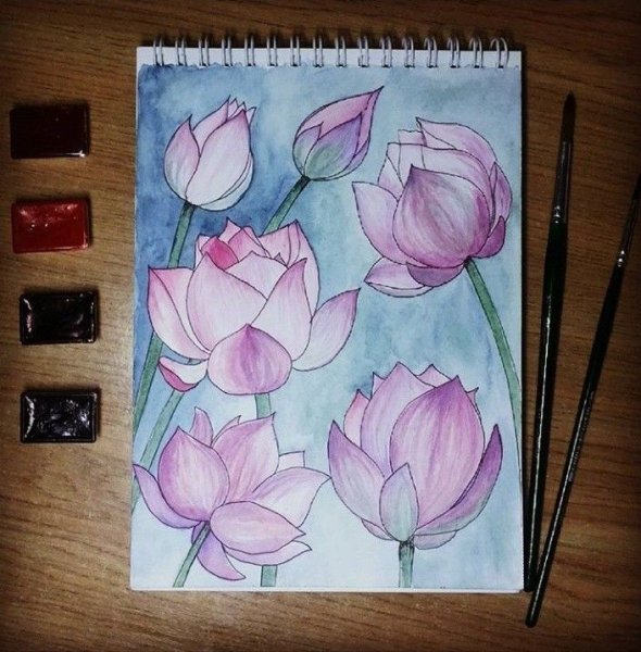 Розы акварелью легкие для скетчбука