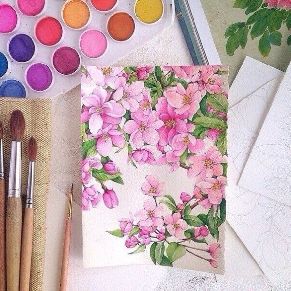 Цветы акварелью скетчбук