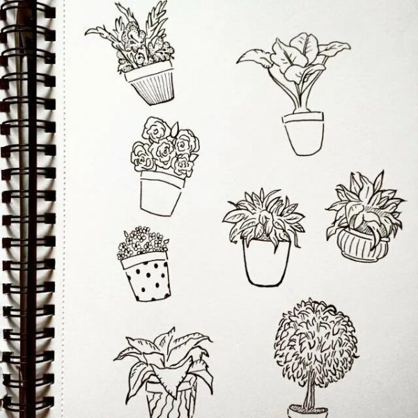 Рисунки для срисовки растения