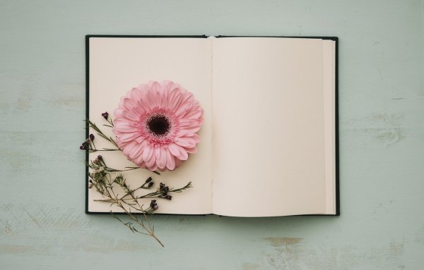 Блокнот открытый с цветами