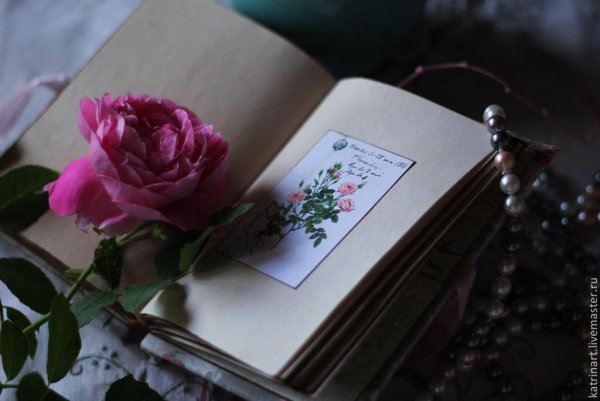 Блокнот цветы