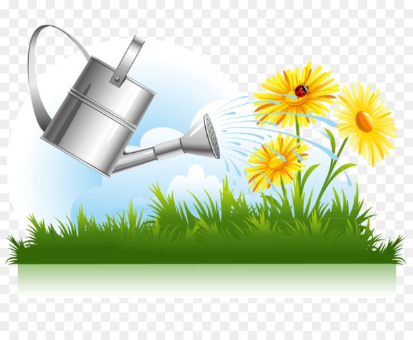 Полив растений на прозрачном фоне