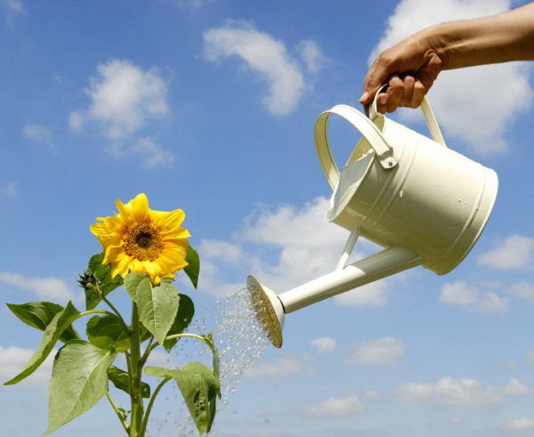 Лейка с водой