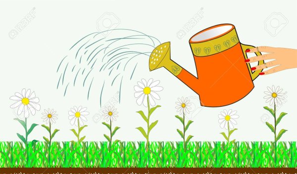 Лейка для полива цветов рисунок