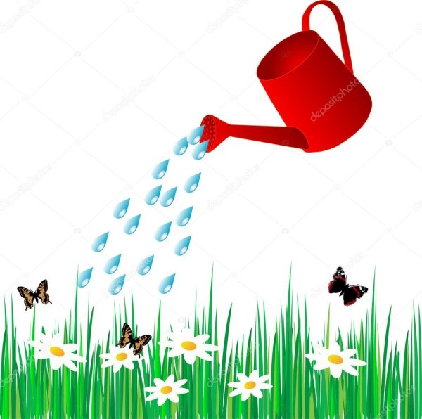 Лейка с водой для детей