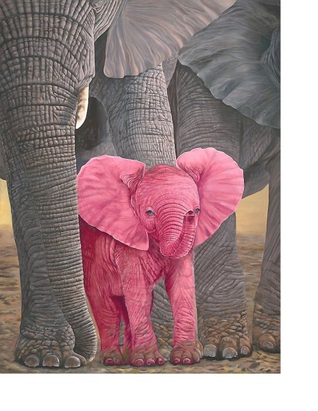 Розовые слоны