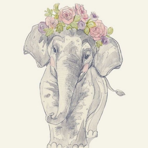 Эскиз слон с цветами