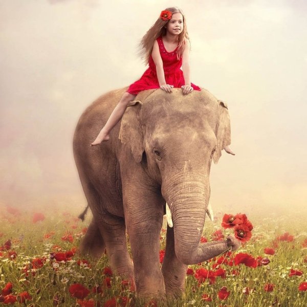 Девочка на слоги