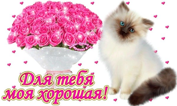 Для тебя моя хорошая
