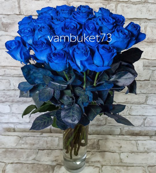 Синие розы фото