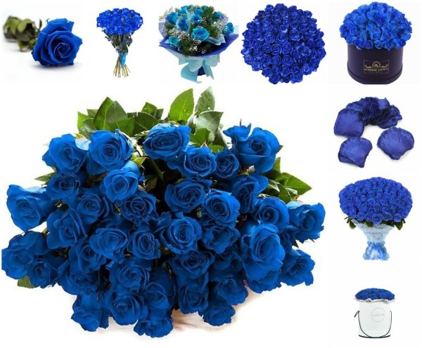 Бело голубые цветы