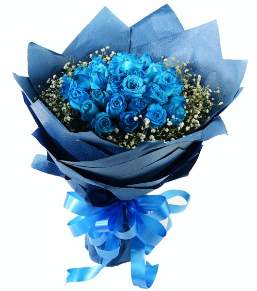 Роза Венделла синяя