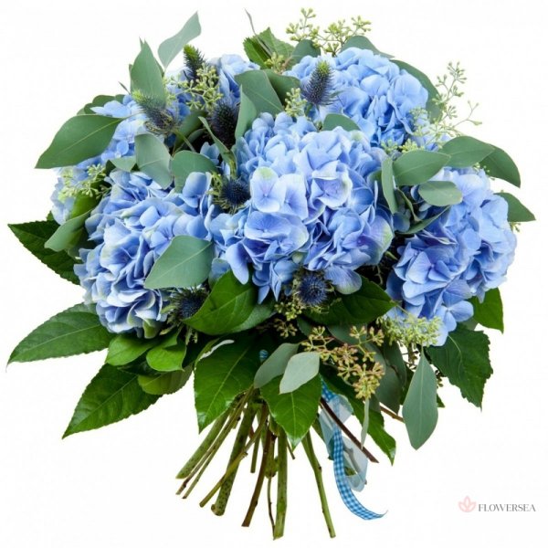 Голубые розы букет