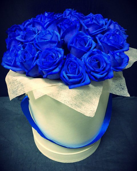 Букет 51 синяя роза