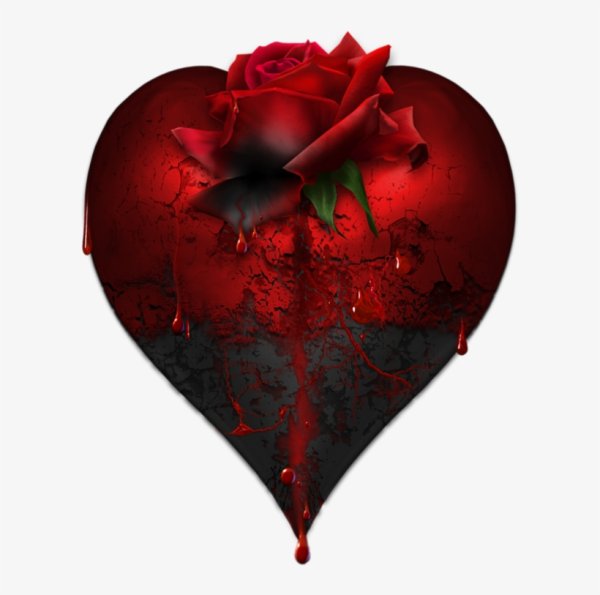 Bleeding Heart (кровоточащее сердце, США)