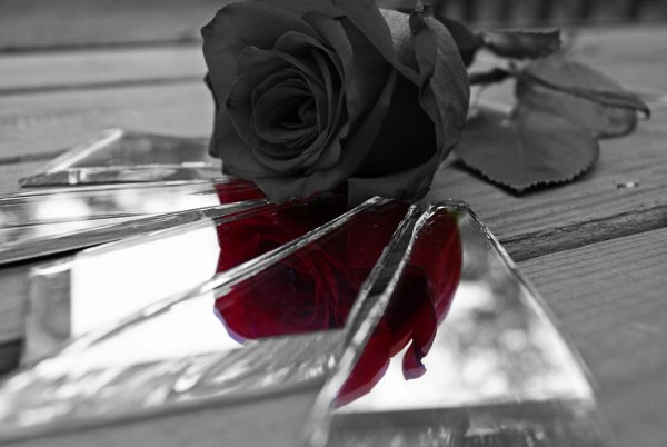 Разбитое сердце