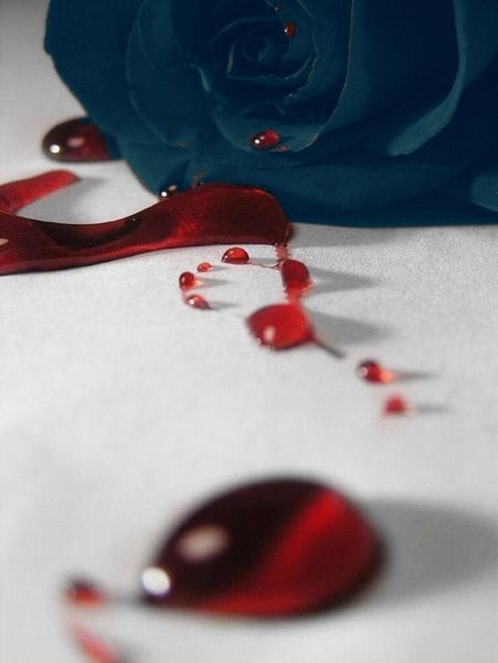 Гиф сердце в ладонях