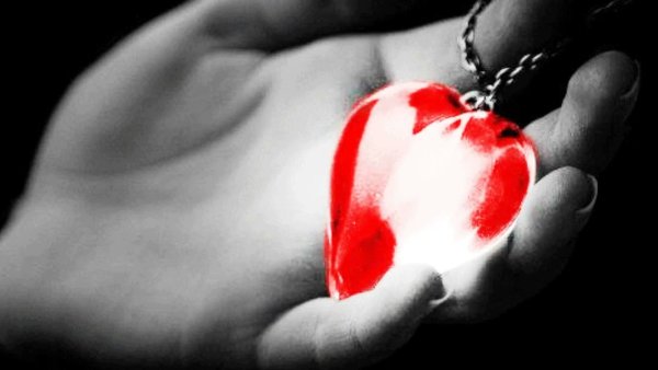 Сердце в колючей проволоке