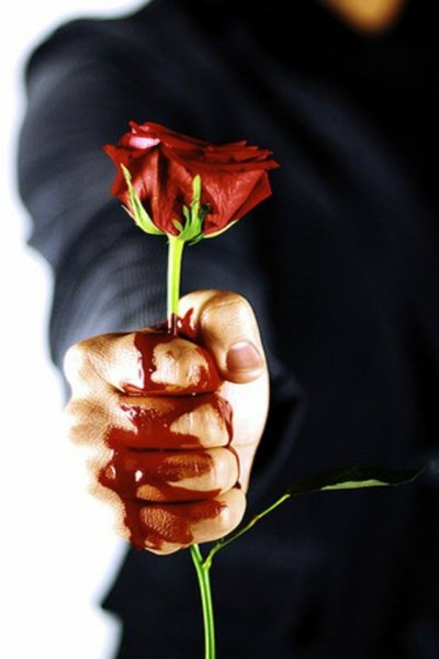 Сердце из цветов в руках