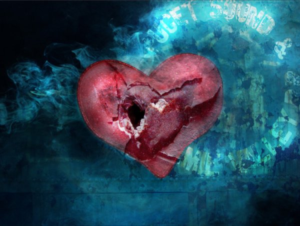 Дицентра великолепная цветет