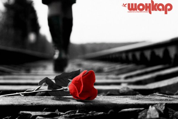 «Дицентра великолепная» или «кровоточащее сердце»