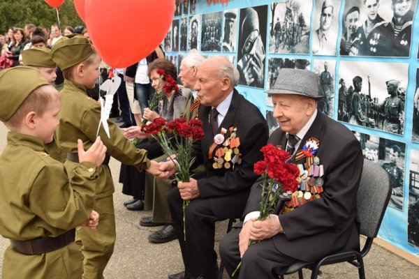 Гвоздики ветеранам