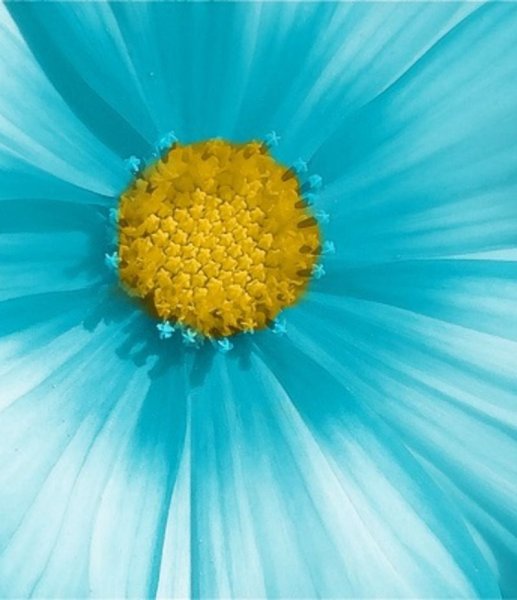 Голубой и желтый