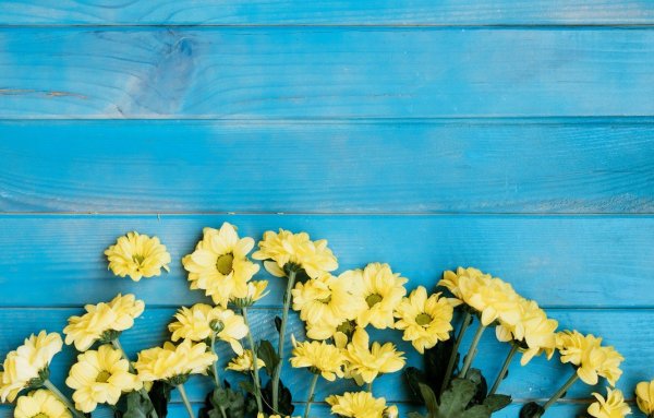 Желтый бирюзовый цветы