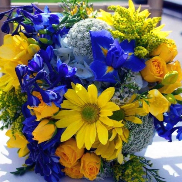 Желто синие цветы