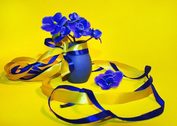 Букет в желто синих тонах