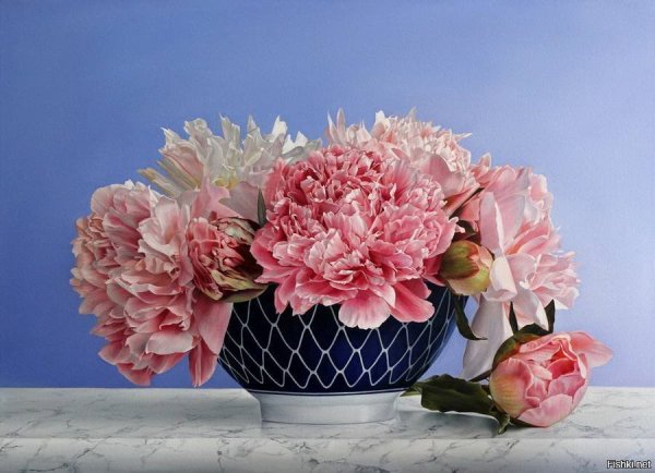 Цветы Александре