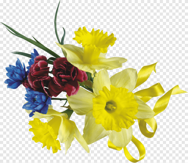 Букет нарциссы на прозрачном фоне