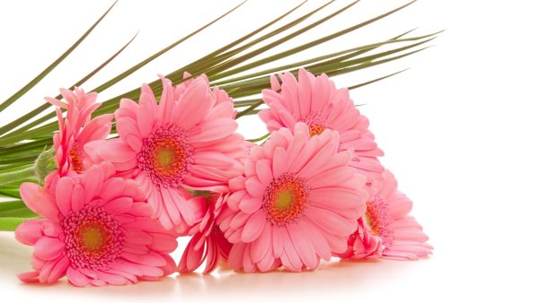 Букет шикарный