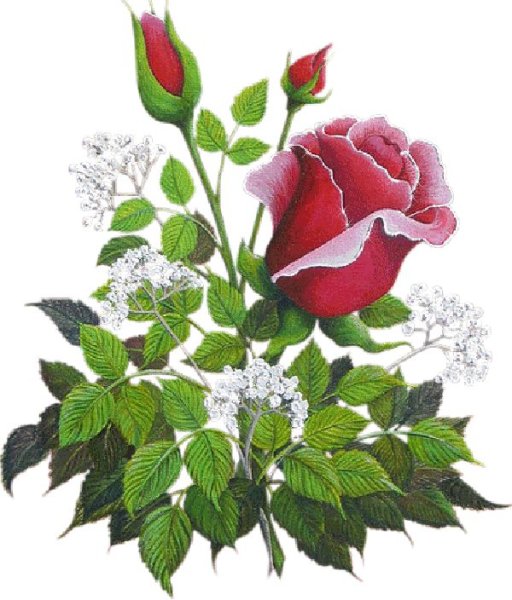 С днем рождения