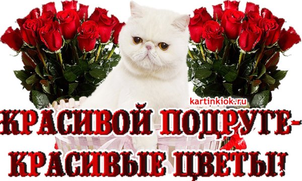 Открытки с днем рождения белые розы