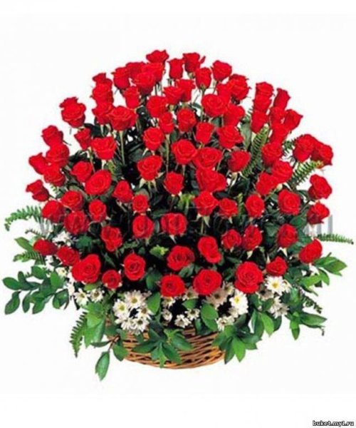 Красивые цветы для подруги