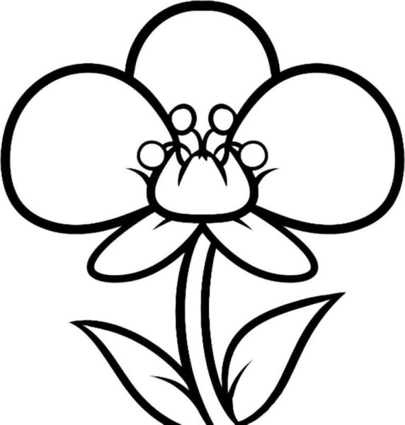 Простые рисунки цветов для детей