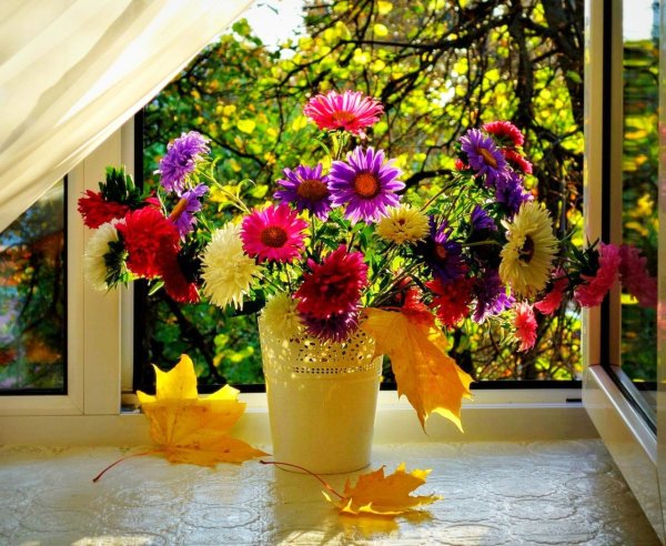 Осенние цветы