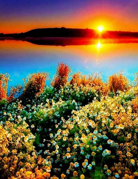 Лето природа