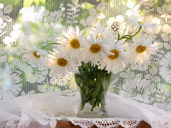 Мерцающие ромашки