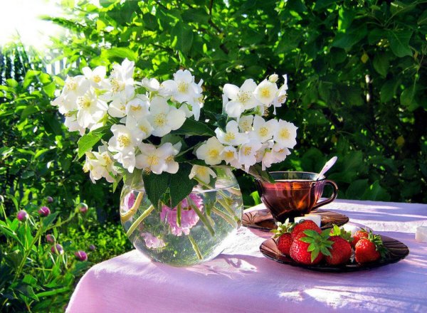 Цветочное настроение